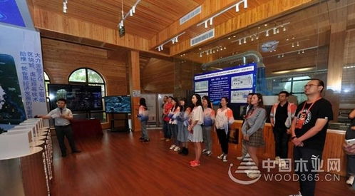 智能制造與網絡科技雙輪驅動，為南康家具產業注入創新動能