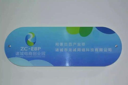 諸城市龍誠網絡科技 賦能地方企業，驅動數字化轉型